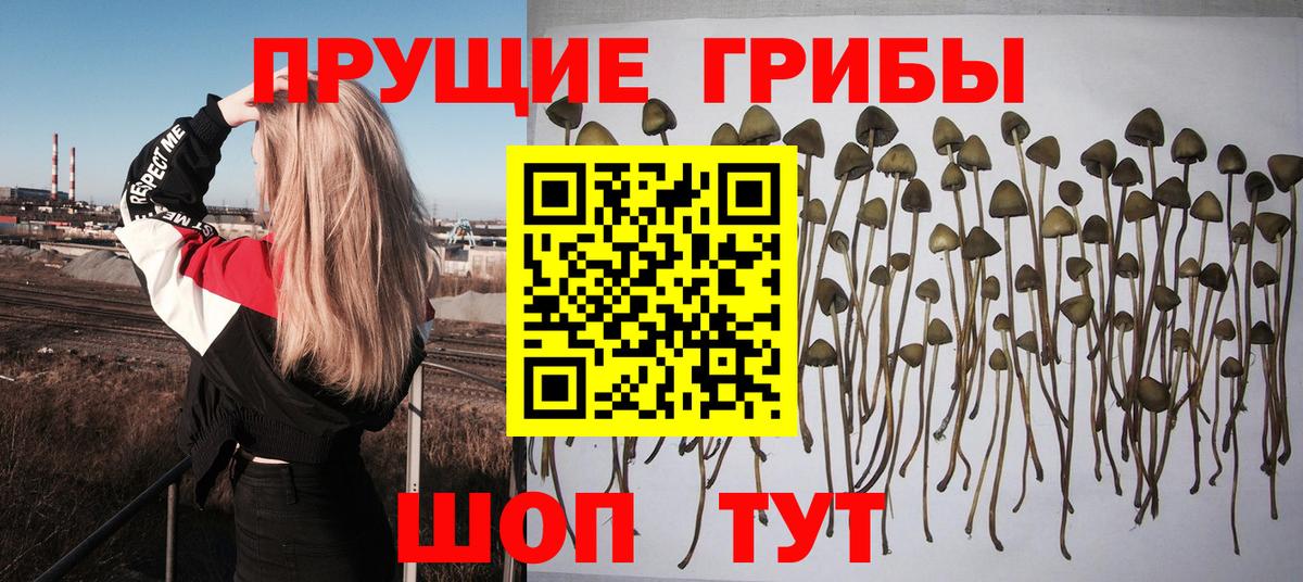 наркошоп  Вход с VPN  Каменка  Псилоцибиновые грибы Cubensis  Галлюциногенные грибы ЛСД 