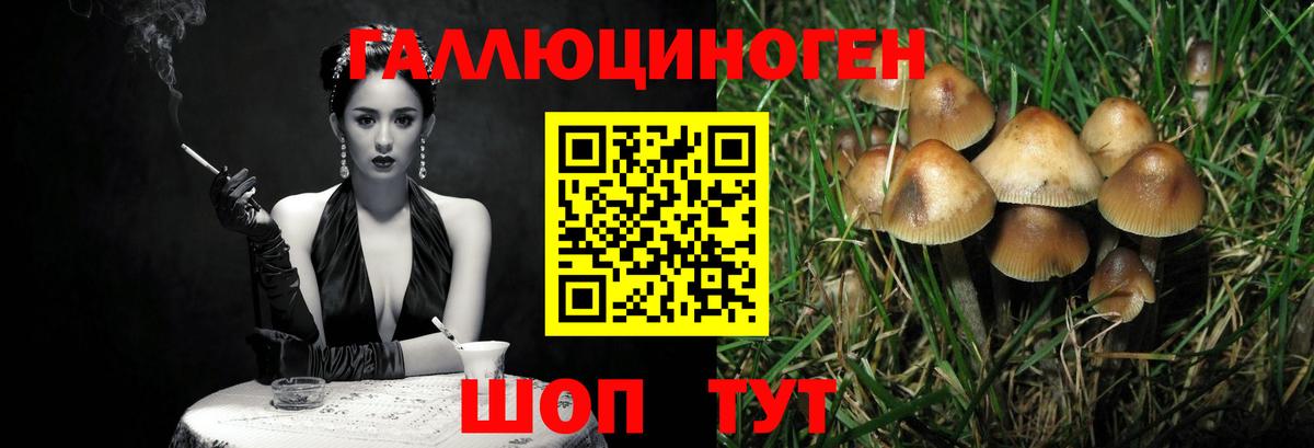 Псилоцибиновые грибы ЛСД Каменка