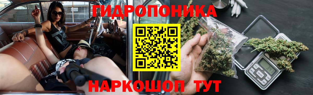 Каменка  Марихуана план  Бошки Шишки OG Kush  Вход с VPN  Шишки марихуана ГИДРОПОН 